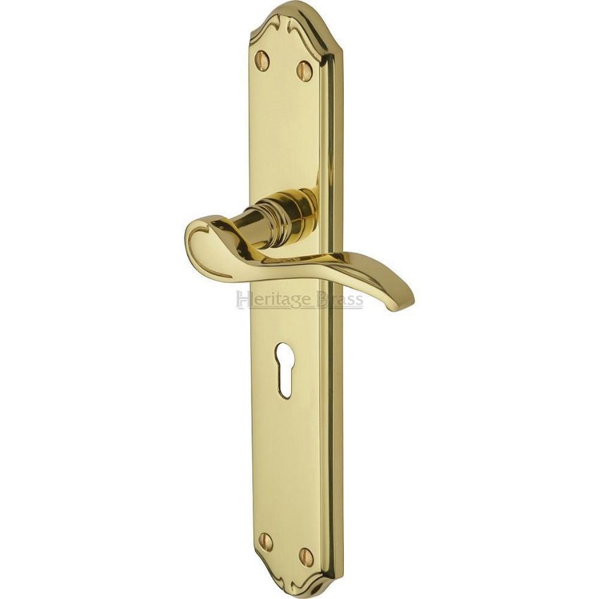 Picture of Verona Long Plate Lock Handle - MM824PB