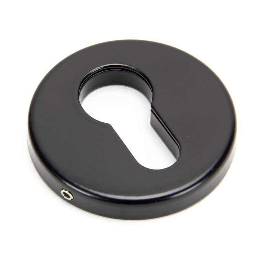 Black Regency Concealed Escutcheon - 45466 