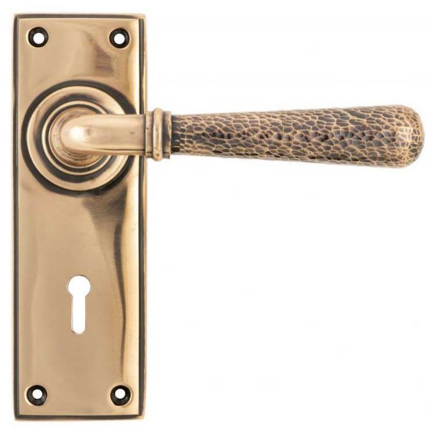 Polished Bronze Hammered Newbury Lever Lock on a Backplate - Polished Bronze - 46225 