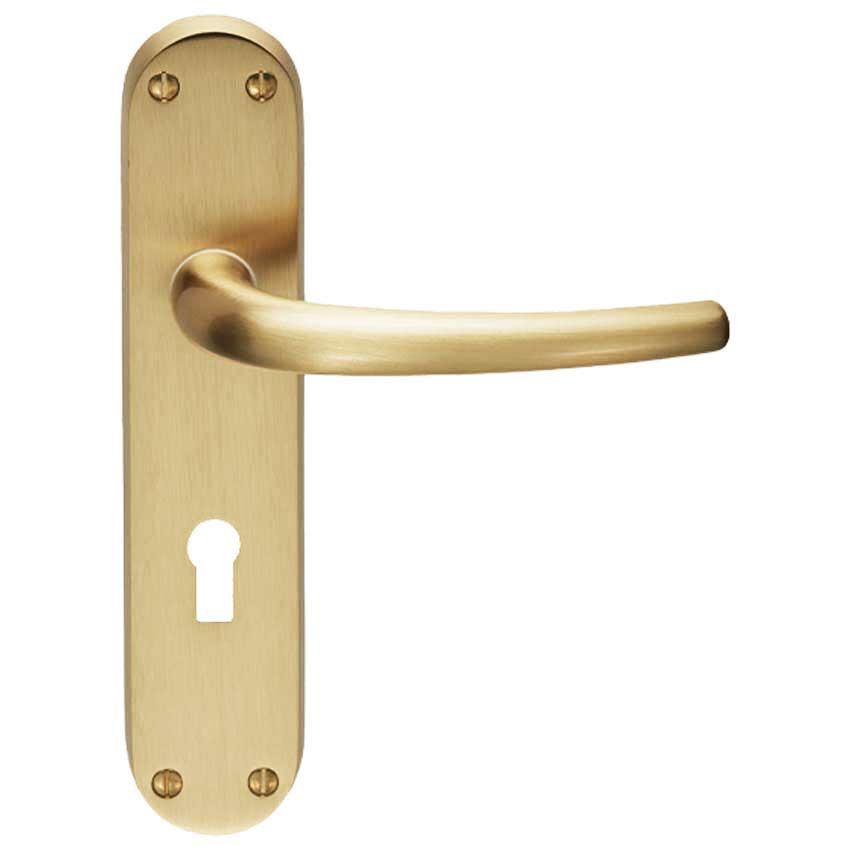 Picture of Lillia Lock Handle - EL31SB - EXT