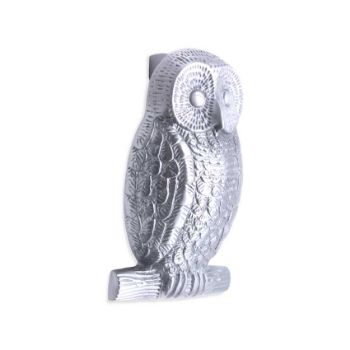 Picture of Owl Door Knocker In Satin Chrome - SB4109SC